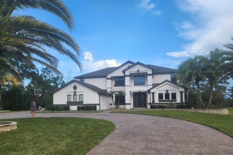 Villa ou maison à Orlando, Floride 5 chambres, 378.67 m2 № 2304389