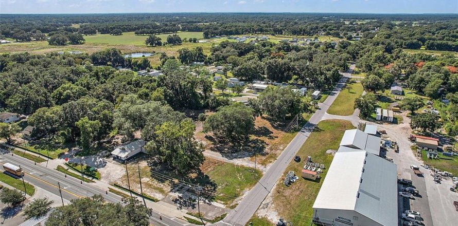 Propiedad comercial en Webster, Florida № 1537460