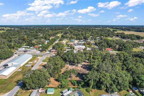 Propiedad comercial en venta en Webster, Florida № 1537460 - foto 6