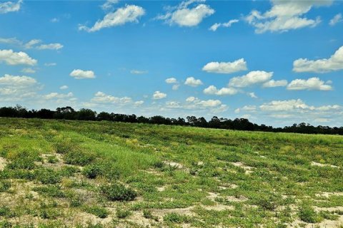 Terreno en venta en Lake Wales, Florida № 1767448 - foto 3