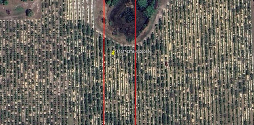 Terreno en Lake Wales, Florida № 1767448