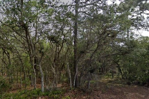 Terrain à Homosassa, Floride № 2235043