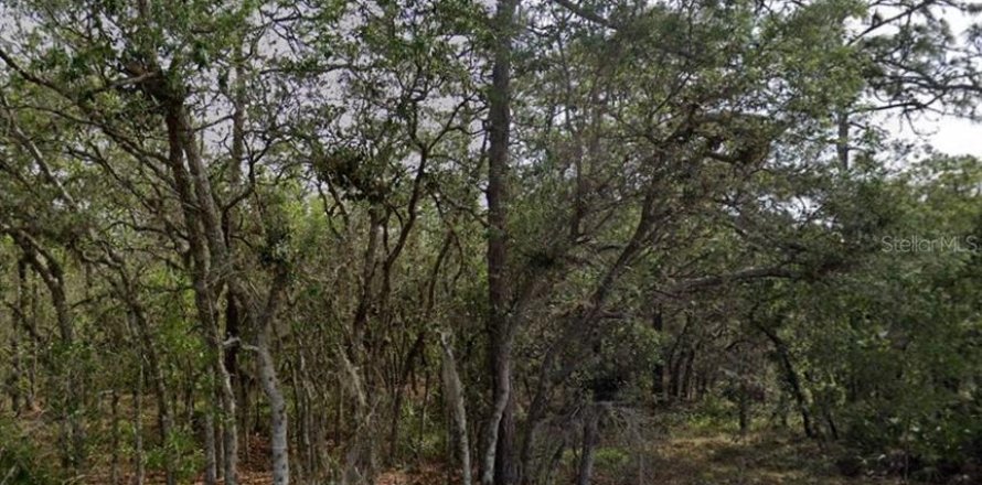 Terrain à Homosassa, Floride № 2235043