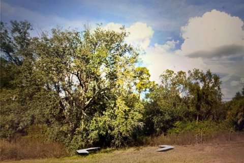 Land in North Port, Florida № 2163854