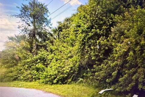 Land in North Port, Florida № 2163854 - photo 3