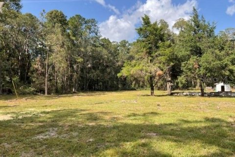Land in Gainesville, Florida № 2218665 - photo 4