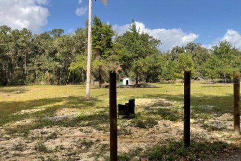 Land in Gainesville, Florida № 2218665 - photo 5