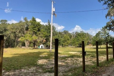 Land in Gainesville, Florida № 2218665 - photo 6