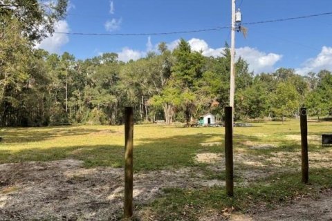 Land in Gainesville, Florida № 2218665 - photo 2