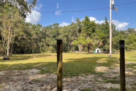 Land in Gainesville, Florida № 2218665 - photo 3