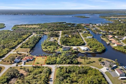 Land in Port Charlotte, Florida № 2104305 - photo 7