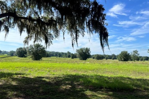 Land in Ocala, Florida № 1522337 - photo 6