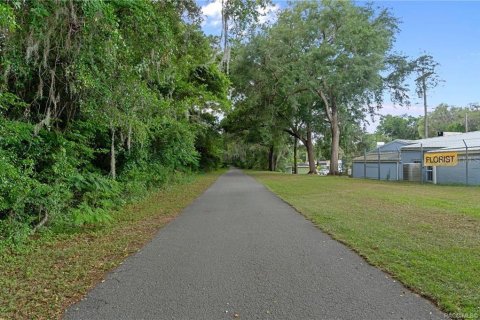 Propiedad comercial en venta en Floral City, Florida, 258.18 m2 № 2102048 - foto 30