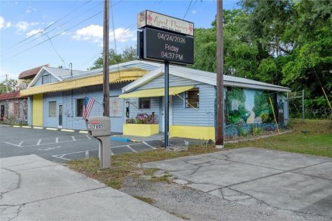 Propiedad comercial en venta en Floral City, Florida, 258.18 m2 № 2102048 - foto 6