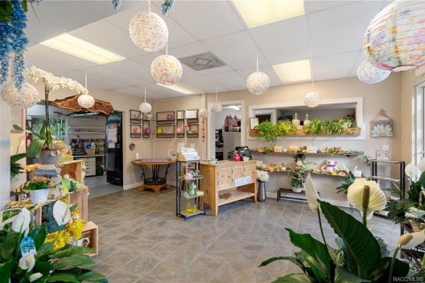 Propiedad comercial en venta en Floral City, Florida, 258.18 m2 № 2102048 - foto 10