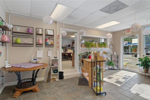Propiedad comercial en venta en Floral City, Florida, 258.18 m2 № 2102048 - foto 25