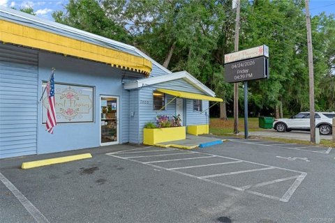 Propiedad comercial en venta en Floral City, Florida, 258.18 m2 № 2102048 - foto 4