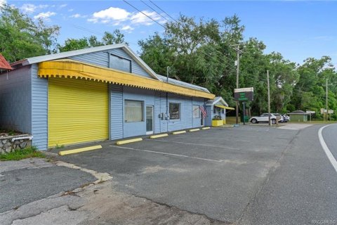 Propiedad comercial en venta en Floral City, Florida, 258.18 m2 № 2102048 - foto 2