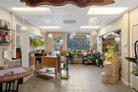 Propiedad comercial en venta en Floral City, Florida, 258.18 m2 № 2102048 - foto 11