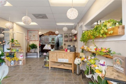 Propiedad comercial en venta en Floral City, Florida, 258.18 m2 № 2102048 - foto 9