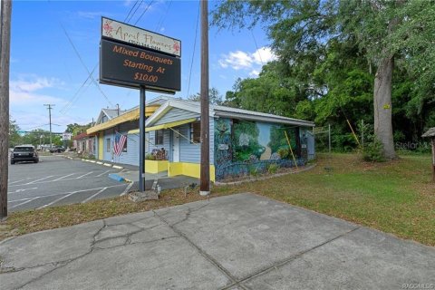 Propiedad comercial en venta en Floral City, Florida, 258.18 m2 № 2102048 - foto 7