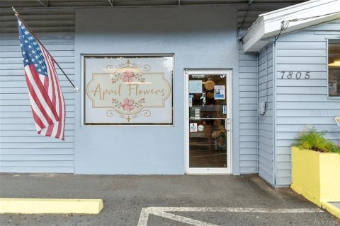Propiedad comercial en venta en Floral City, Florida, 258.18 m2 № 2102048 - foto 5