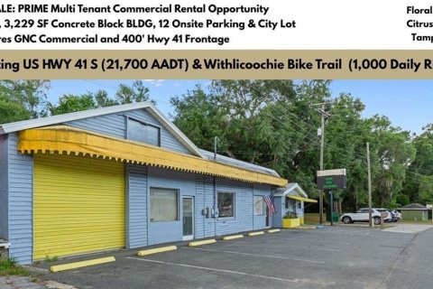 Propiedad comercial en Floral City, Florida 258.18 m2 № 2102048