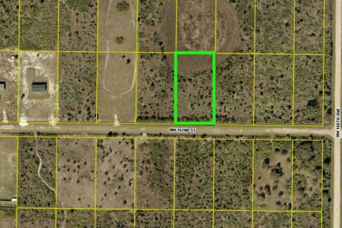 Land in Okeechobee, Florida № 2160747