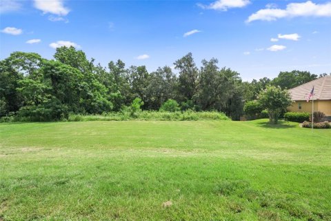 Terrain à vendre à Dade City, Floride № 2370936 - photo 7
