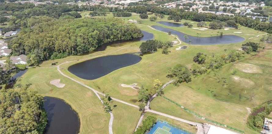 Condo à New Port Richey, Floride, 2 chambres  № 2411418