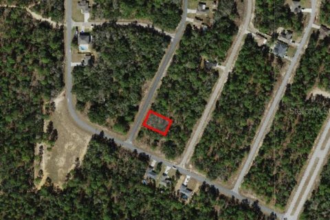 Land in Citrus Springs, Florida № 2161375 - photo 2