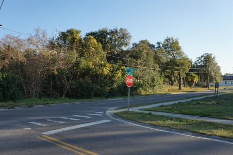 Land in Eustis, Florida № 1720201 - photo 3