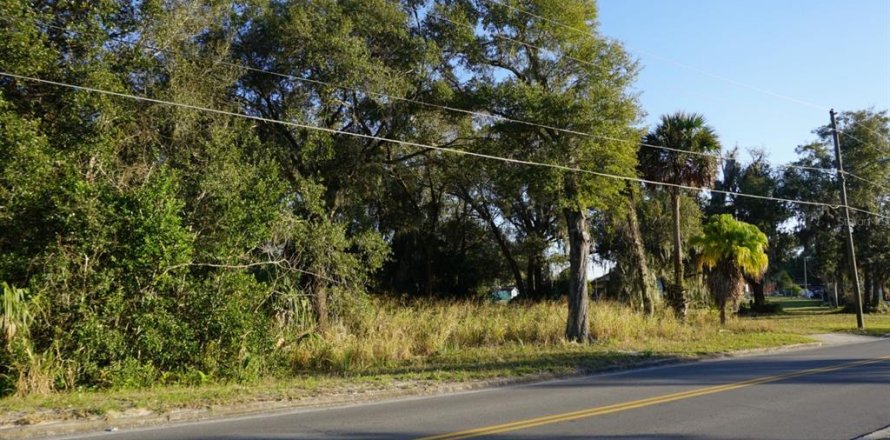 Land in Eustis, Florida № 1720201