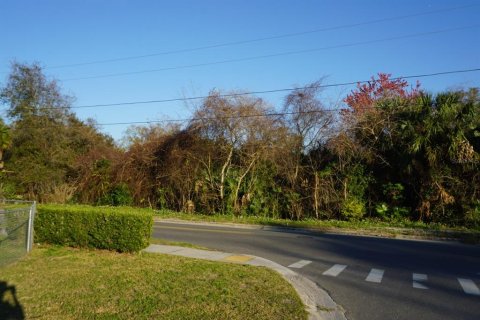 Land in Eustis, Florida № 1720201 - photo 4