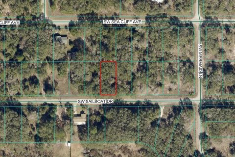 Land in Dunnellon, Florida № 2165435 - photo 2