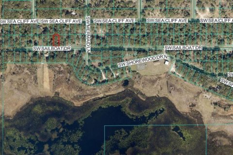 Land in Dunnellon, Florida № 2165435 - photo 3
