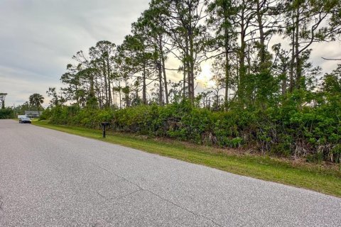 Land in Port Charlotte, Florida № 2165348 - photo 10