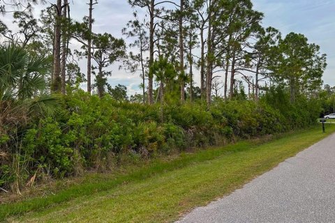 Land in Port Charlotte, Florida № 2165348 - photo 2