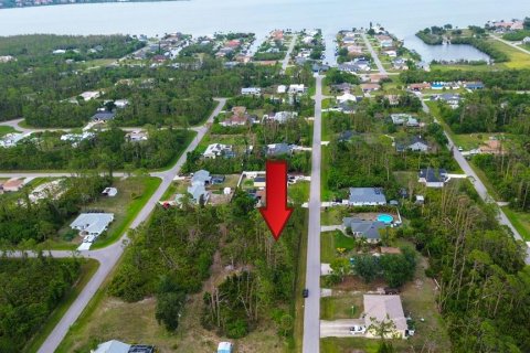 Land in Port Charlotte, Florida № 2165348 - photo 14