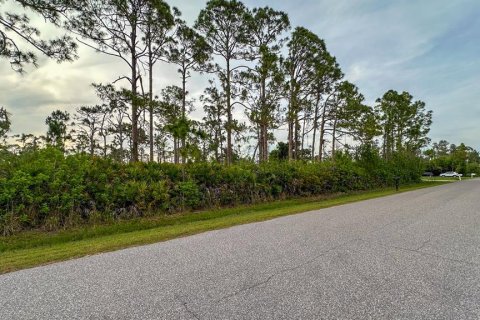 Land in Port Charlotte, Florida № 2165348 - photo 12