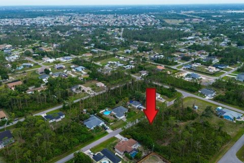 Land in Port Charlotte, Florida № 2165348 - photo 3