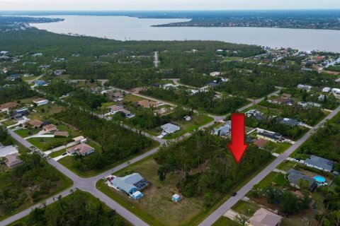 Land in Port Charlotte, Florida № 2165348 - photo 11