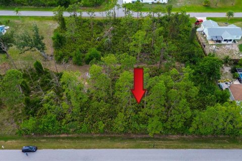Land in Port Charlotte, Florida № 2165348 - photo 6