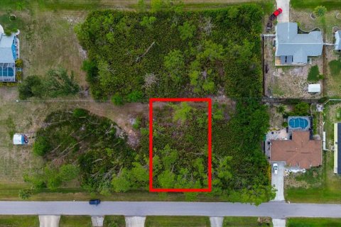 Land in Port Charlotte, Florida № 2165348 - photo 9
