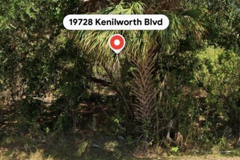 Land in Port Charlotte, Florida № 2108271