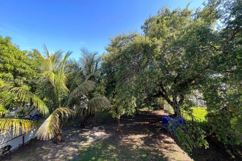 Commercial property in Miami, Florida 314.57 sq.m. № 1882439 - photo 3