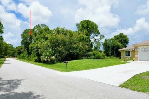 Land in Port Charlotte, Florida № 2232702 - photo 5