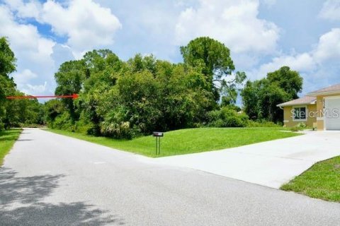 Land in Port Charlotte, Florida № 2232702 - photo 4