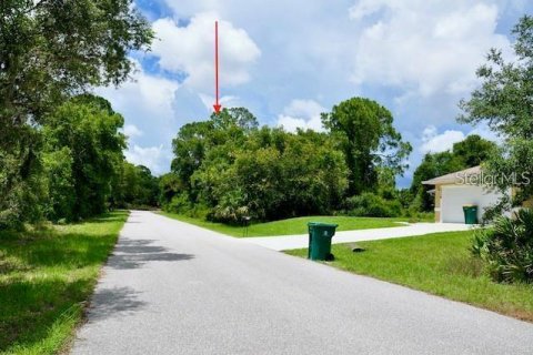 Land in Port Charlotte, Florida № 2232702 - photo 6