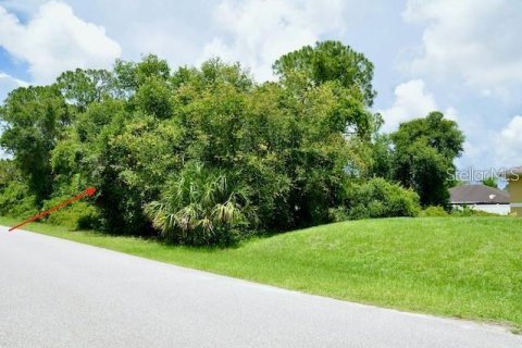 Land in Port Charlotte, Florida № 2232702 - photo 7